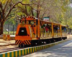 You can have a close look with Bengal tiger, Asiatic lion, sloth bear and other animals with a safari trip offered by the zoo. They also organize spec